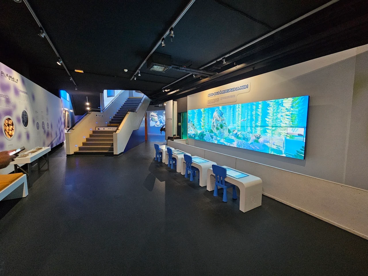 Salle de l’aquarium virtuel : long mur d’écrans bleu, tables tactiles basses et escalier